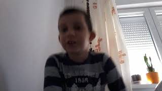 Martin Rütter Die Welpen komme(7)