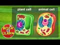 Exploring Life Science Concepts for Kids