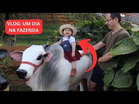 LEVAMOS A TIA LEA PARA CONHECER A FAZENDINHA - AYLIZ SE DIVERTIU MUITO!