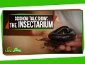 Insect Behavior and Ecology