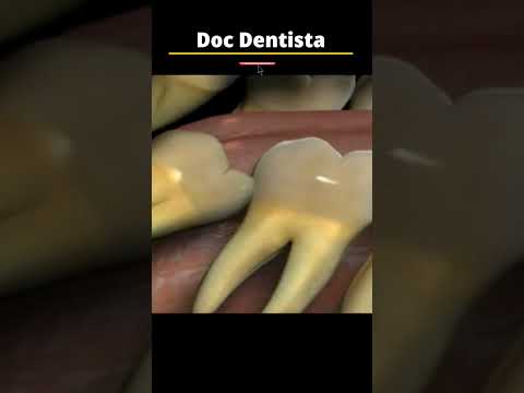 One of the top publications of @DocDentista which has 813 likes and 14 comments