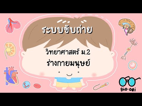 สรุปร่างกายมนุษย์ม.2ระบบขับถ่ายBiooei