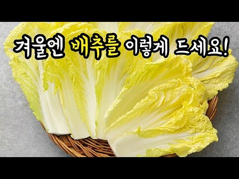 💥배추가 있으면 무조건 이렇게 드셔보세요❗정말 맛있습니다💯