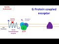 G Protein-Coupled Receptor Functions