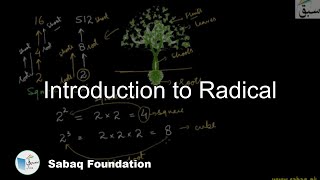 Introduction to Radical