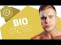 biodiesel/