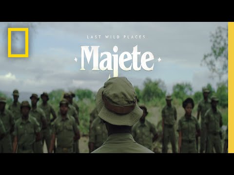 YouTube video thumbnail: How Wildlife Is Bouncing Back in This African Park