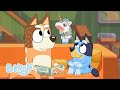 Preguntas sobre Bluey y la Reina
