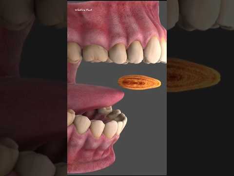 Purpose Of Your Uvula #shorts #ytshorts