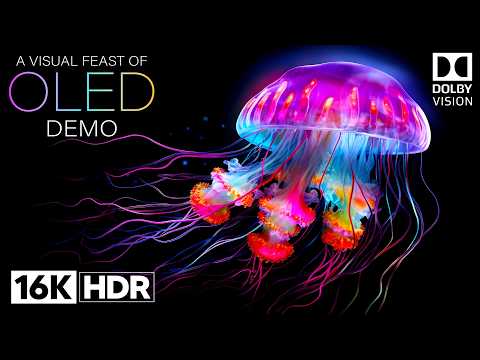 OLED TEST VIDEO - 16K HDR 120FPS DOLBY VISION DEMO - 16K VIDEO ULTRA HD