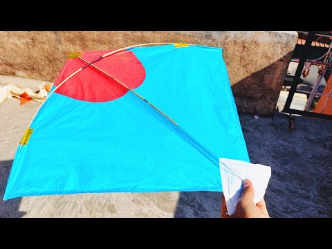 Big Gudda Vs Pari Catch Kite || Desi Kite Flying Vlogs With Friends Gudda Vs Pari Kite