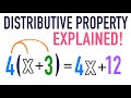 Exploring the Distributive Property of Multiplication and Addition