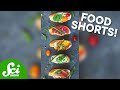 Food Science and Plant Biology Concepts