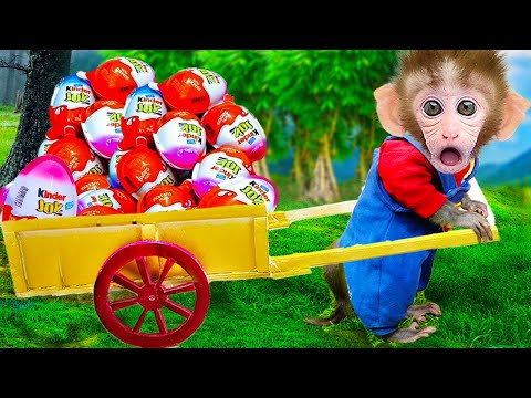 Monkey Baby Bon Bon pulling a cart carrying Kinder Joy eggs | Animals Home Monkey