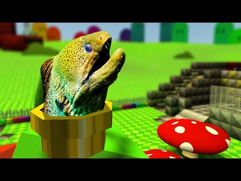 MORAY-O KART! (Gmod Hide & Seek)
