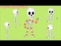 Funciones y Movimientos de las Articulaciones