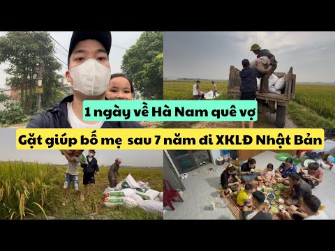 574 | Sau Hành Trình 7 Năm XKLĐ về Nước | 1 Ngày Trở Về Hà Nam Gặt Giúp “Bố Mẹ Vợ”| Đức Thư Vlogs