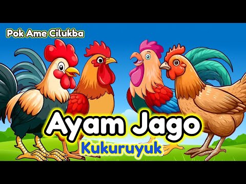 Pok Ame ame Cilukba, Kukuruyuk, Ayam Berkokok - Kompilasi Lagu Anak Viral