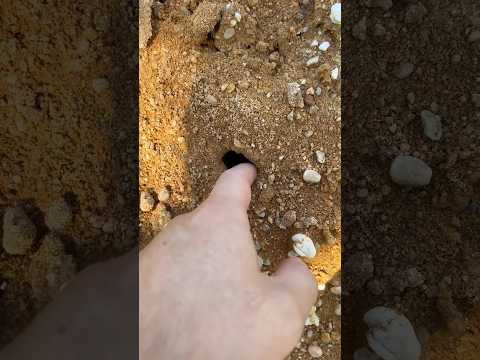 This tiny Hole has a BIG Secret..