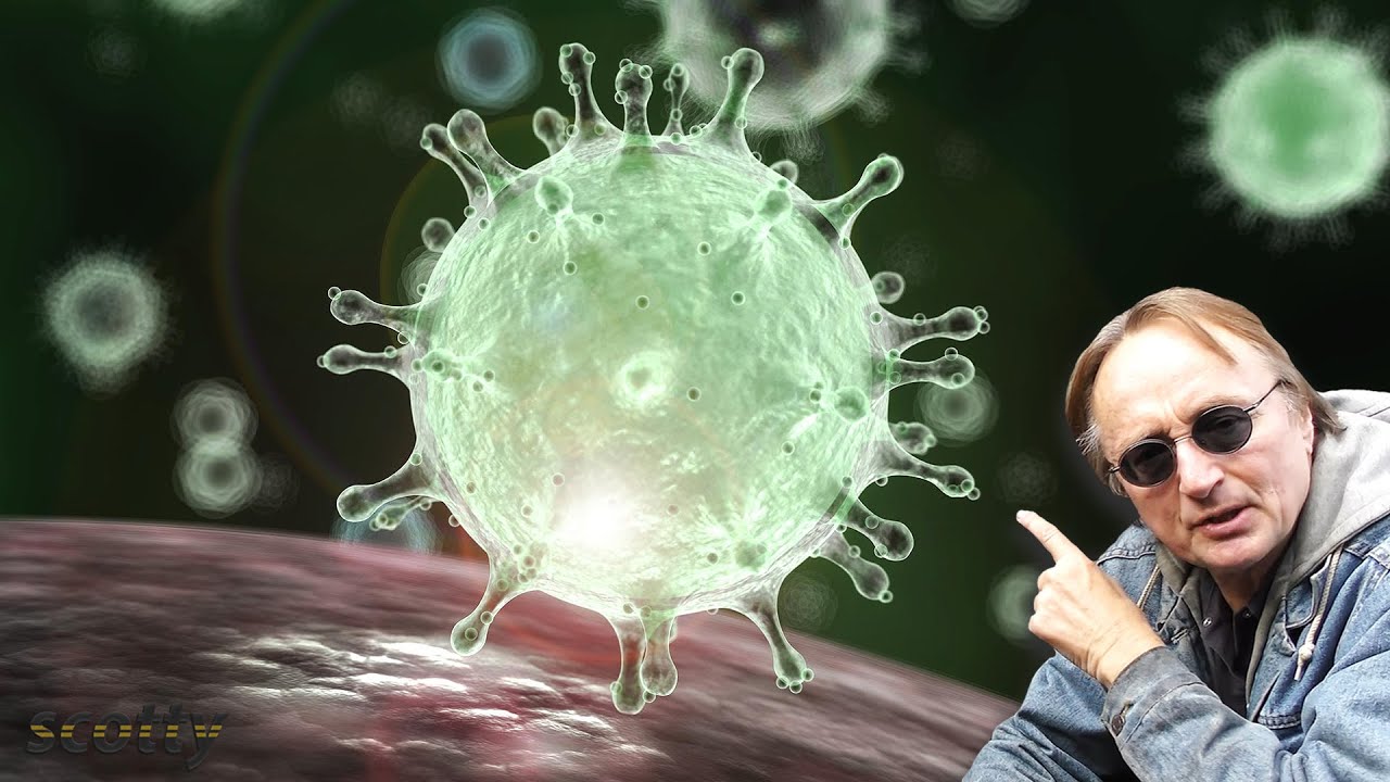 The Truth About the Coronavirus and Cars