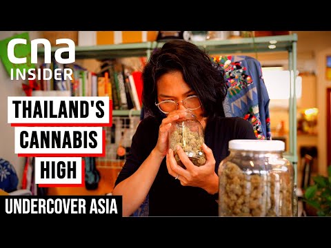 The Highs And Lows Of Thailand's Cannabis Rush | Undercover Asia