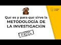 Comprendiendo la Metodología de la Investigación