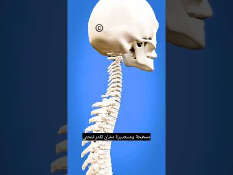 كيف تدير رأسك كالبومة 😳