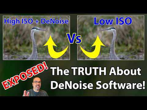 Low ISO VS. High ISO + Denoise:  WARNING: You NEED To See This Before Your Next Shoot!