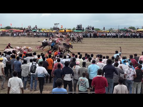 हिंदकेसरी पेडगाव 2025 सेमी फायनल | बकासुर Vs मथुर |१० सेमी फायनल फेरे | Maharashtra Bailgada Sharyat