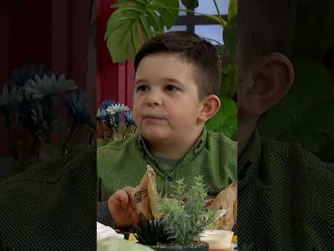 Gjyshi e Gjyshja fuqi fuqi ham ham ๐ - รka ka Shpija