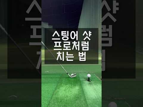 [레슨]프로처럼 스팅어샷 치는 법! #골프레슨 #스팅어샷# #golfswing #shorts