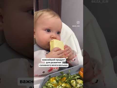 ПРИКОРМ. ВАЖНЕЙШИЙ ПРОДУКТ РАЗВИТИЯ МОЗГА