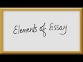 Understanding Essay Types and Techniques