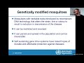 Evaluation of Genetically Modified Mosquitoes