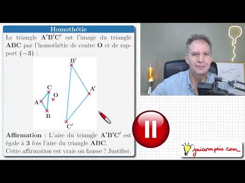 Homothétie ♦ Effet sur les aires ♦ Corrigé Brevet mathématiques 2024 Amérique du nord