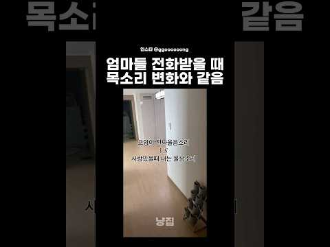 고양이 혼자 있을때 진짜 목소리