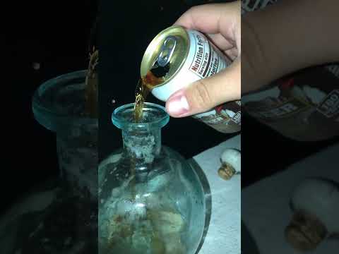 Root Beer Endeavor