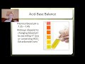 Exploring the Urinary System: Key Concepts and Functions