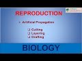 Artificial Propagation Techniques and Benefits