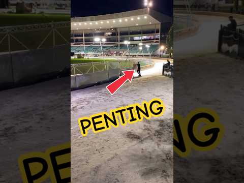 Tugas Sederhana Tapi Penting | Greyhound Racing Secret