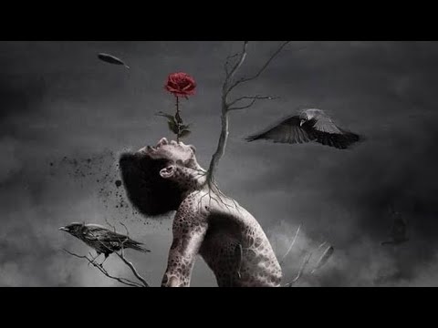 Chino Power spettacolo