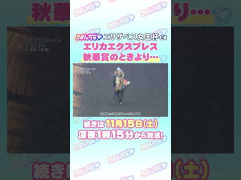 エリザベス女王杯 GⅠ　トレセン直撃取材！　#競馬 #エリザベス女王杯  #エリカエクスプレス  #杉山晴紀 調教師