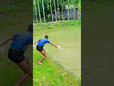 How big this fish #fishing #bigfish #village #viral