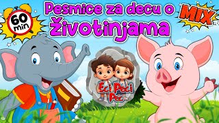 60 minuta 𝐄𝐜𝐢 𝐏𝐞𝐜𝐢 𝐏𝐞𝐜 pesama 🐰 Sat vremena euforije za decu MIX 🐷