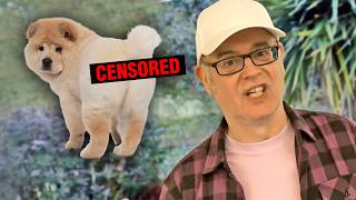 Should dogs be allowed in restaurants?  Yes or No?  / An English language HOT topic