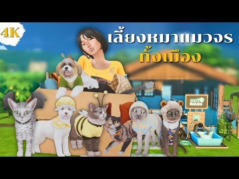 EP2ทำสวนมะละกอเลี้ยงหมาแมวจรทุกตัวในซิมส์4Canweopenananimals