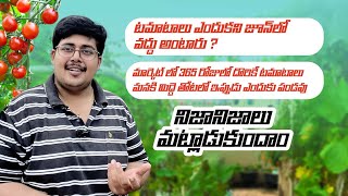 June లో TOMATO 🍅  విత్తనాలు పెట్టద్దు అంటారు ఎందుకని ? #gardeningtips @OrganicPrabha