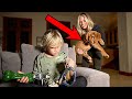Family's New Pet Adventure