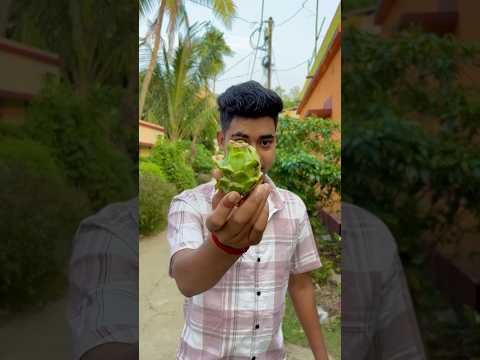 আজকে তোমাদের কাঁচা ড্রাগন ফল কেটে খেয়ে দেখাবো Bengaliminivlog #shots ￼