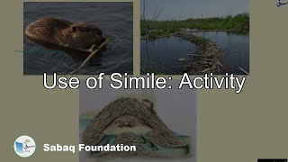 Use of Simile: Activity